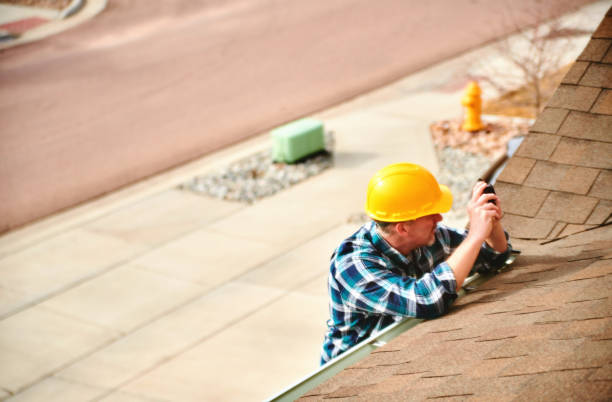 Roof Gutter Cleaning in King Cove, AK