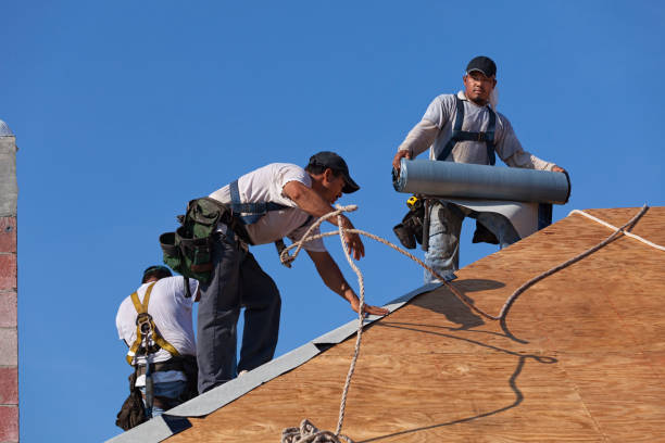 Best Emergency Roof Repair  in King Cove, AK