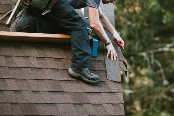 Best Residential Roofing Contractor  in King Cove, AK